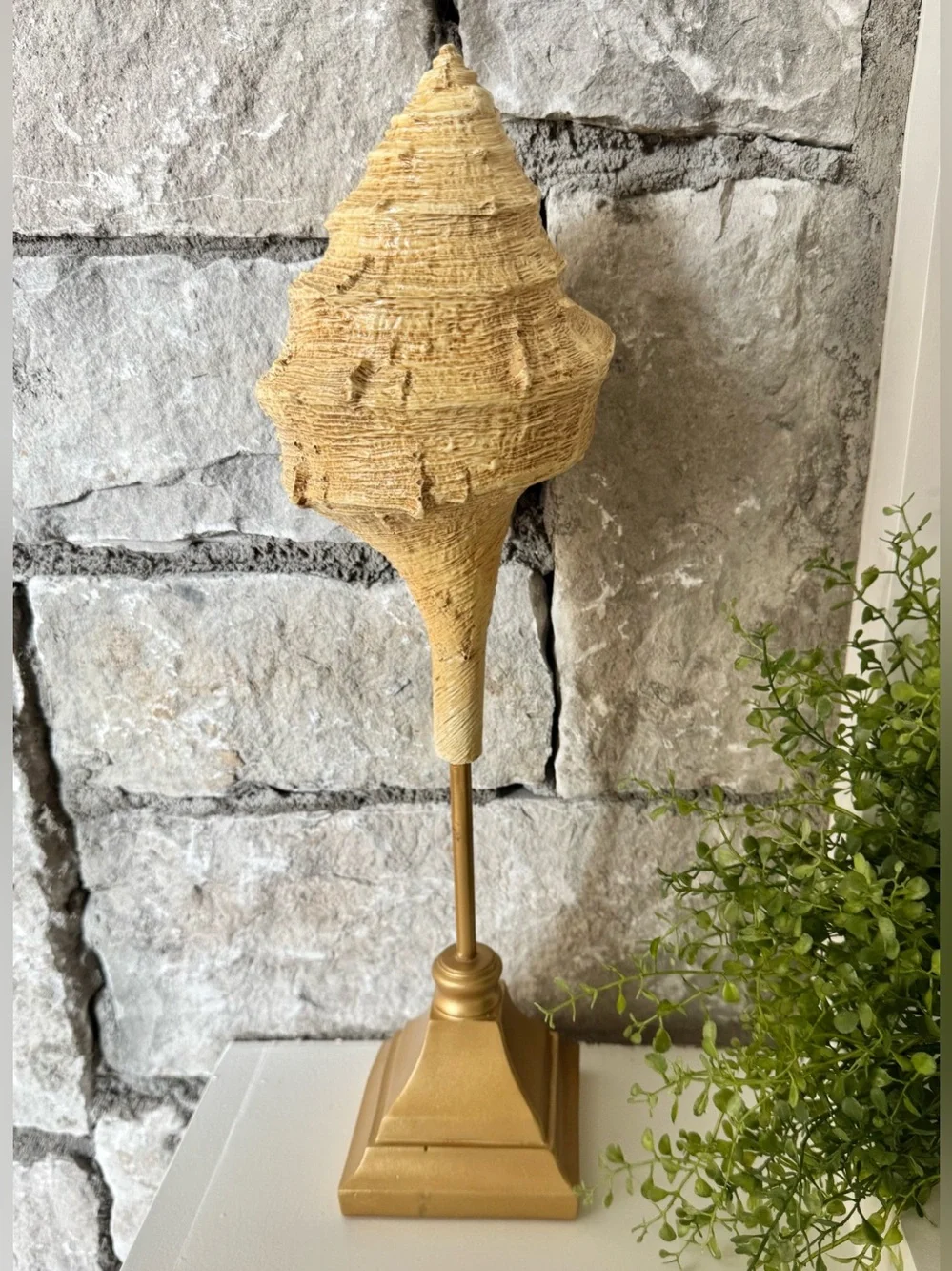 New Resin Conch Shell Seashell Beach Nautical Cottage Style Decor Figure - 16”